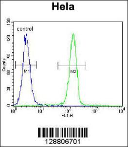 Anti-SELV Rabbit Polyclonal Antibody