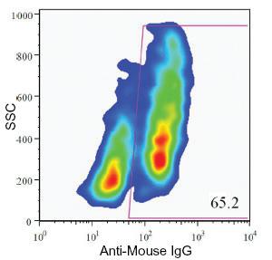 Anti-Endocrine cell marker Mouse Monoclonal Antibody [clone: HIC0-4F9]