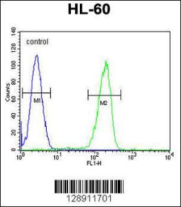 Anti-OR2F2 Rabbit Polyclonal Antibody (AP (Alkaline Phosphatase))