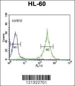 Anti-PLA2G7 Rabbit Polyclonal Antibody