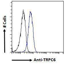 Anti-TRPC6 Antibody (A84123) - Flow cytometric analysis of paraformaldehyde fixed A549 cells (blue line), permeabilized with 0.5% Triton. Primary incubation 1hr (10µg/ml) followed by Alexa Fluor 488 secondary antibody (1µg/ml).