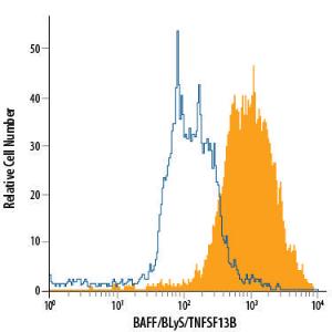 Anti-TNFSF13B Mouse Monoclonal Antibody (APC (Allophycocyanin))