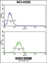 Anti-SPDL1 Rabbit Polyclonal Antibody