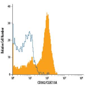 Anti-CD302 Mouse Monoclonal Antibody (APC (Allophycocyanin))