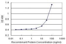 Anti-IRF3 Antibody Pair