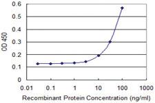 Anti-TCEB2 Mouse Monoclonal Antibody [clone: 2B4]