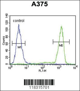 Anti-PALA Rabbit Polyclonal Antibody