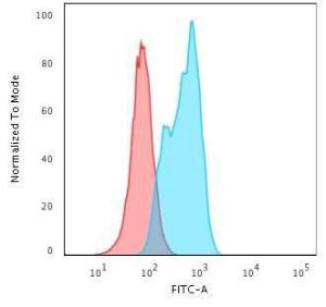 Anti-MSH2 Mouse Monoclonal Antibody [clone: MSH2/2622]