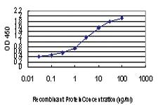 Anti-FOXA2 Mouse Monoclonal Antibody [clone: 1C7]