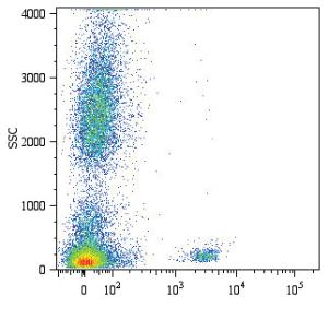 Anti-CD19 Mouse Monoclonal Antibody (APC (Allophycocyanin)) [clone: LT19]