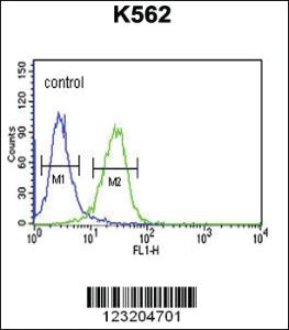 Anti-CLDN15 Rabbit Polyclonal Antibody