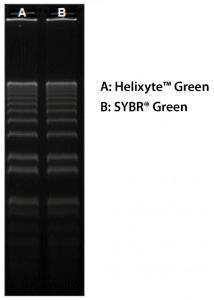 Helixyte/trade  gree 17590 1 ml