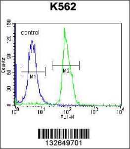 Anti-SEMA4C Rabbit Polyclonal Antibody (AP (Alkaline Phosphatase))