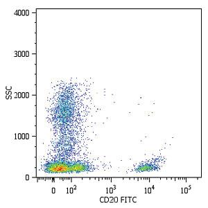 Anti-MS4A1 Mouse Monoclonal Antibody (FITC (Fluorescein isothiocyanate)) [clone: LT20]