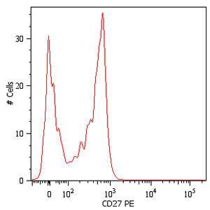 Anti-CD27 Mouse Monoclonal Antibody (PE (Phycoerythrin)) [clone: LT27]