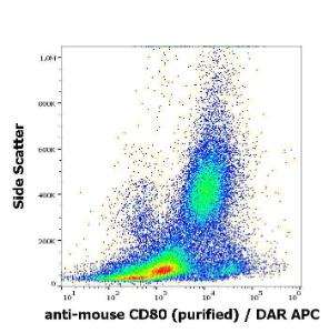 Antibody A242896-100 100 µg