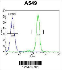 Anti-CEP70 Rabbit Polyclonal Antibody (FITC (Fluorescein Isothiocyanate))