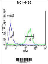 Anti-PISD Rabbit Polyclonal Antibody (APC (Allophycocyanin))