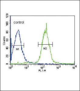 Anti-PLA2G6 Rabbit Polyclonal Antibody