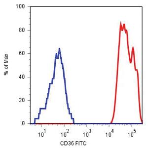 Anti-CD36 Mouse Monoclonal Antibody (FITC (Fluorescein isothiocyanate)) [clone: TR9]