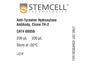 Anti-Tyrosine Hydroxylase antibody, spectrum TH-2