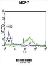 Anti-ETS2 Rabbit Polyclonal Antibody