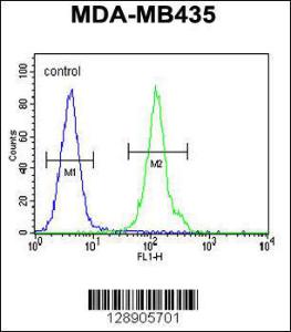 Anti-OR2L13 Rabbit Polyclonal Antibody (FITC (Fluorescein Isothiocyanate))