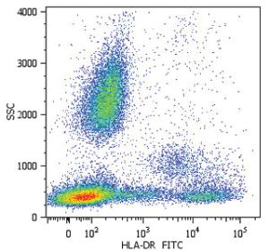 Anti-HLA-DRA Monoclonal Antibody (FITC (Fluorescein isothiocyanate)) [clone: MEM-12]