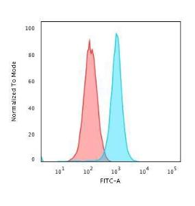 Flow cytometric analysis of K562 cells using Anti-Moesin Antibody [MSN/491] followed by Goat Anti-Mouse IgG (CF&#174; 488) (Blue). Isotype Control (Red).