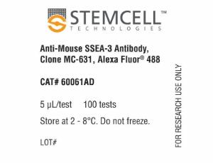 Anti-mouse SSEA-3 antibody, spectrum MC-631, Alexa Fluor® 488