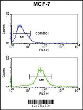 Anti-RT25 Rabbit Polyclonal Antibody