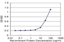 Anti-MTA1 Mouse Monoclonal Antibody [clone: 1C3]