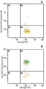 Anti-IgE Mouse Monoclonal Antibody (FITC (Fluorescein isothiocyanate)) [clone: BE5]