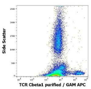 Antibody anti-TCR C beta 1 JOVI1 100 µg