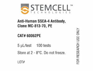 Anti-human SSEA-4 antibody, spectrum MC-813-70, PE