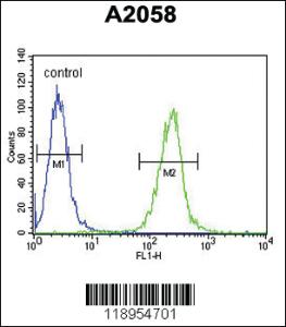 Anti-SPINK5 Rabbit Polyclonal Antibody