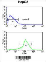 Anti-SFT2D3 Rabbit Polyclonal Antibody (APC (Allophycocyanin))