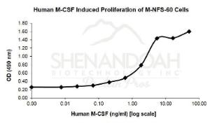 Human recombinant M-CSF (from <i>E. coli</i>)