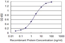 Anti-FOXA3 Mouse Monoclonal Antibody [clone: 1C6]