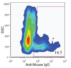 Anti-Pancreatic duct cell marker Mouse Monoclonal Antibody [clone: DHIC2-4A10]