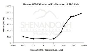 Human Recombinant GM-CSF (from <i>E. coli</i>)