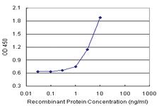 Anti-IL15 Polyclonal Antibody Pair