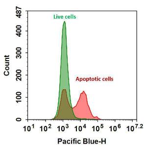 Annexin v-ifluor/tra 20070