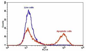 Annexin v-ifluor/tra 20071