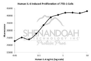 Human recombinant IL-6 (from<i>E. coli</i>)