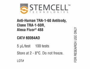 Anti-human TRA-1-60 antibody, spectrum TRA-1-60R, Alexa Fluor® 488