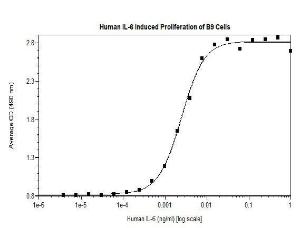 Human recombinant IL-6 (from<i>E. coli</i>)