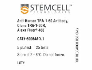 Anti-human TRA-1-60 antibody, spectrum TRA-1-60R, Alexa Fluor® 488