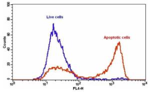 Annexin v-ifluor/tra 20074