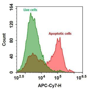 Annexin v-ifluor/tra 20076